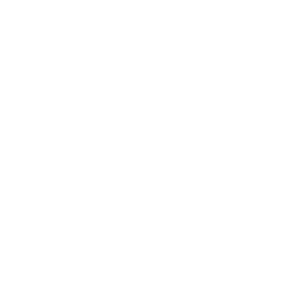 reset